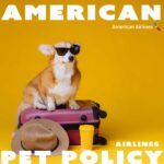 American Airlines pet policy.