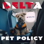 Delta Pet Policy