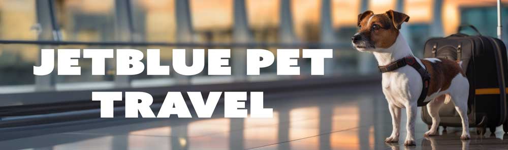 jetblue pet policy